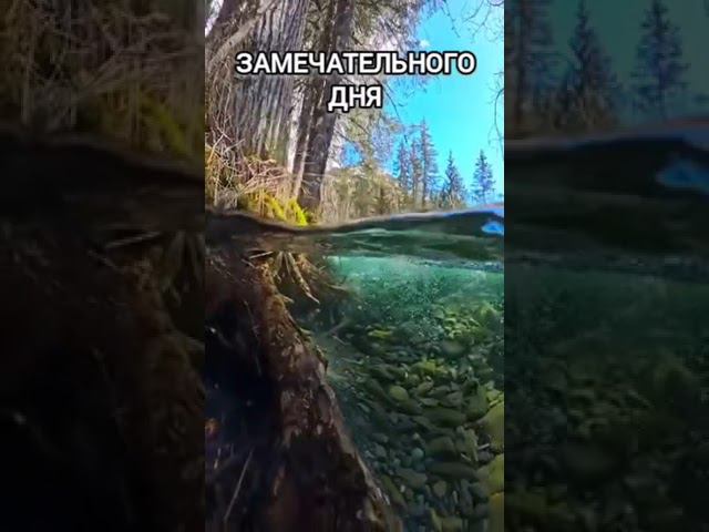 Открытка. Замечательного дня #замечательногодня #metallica