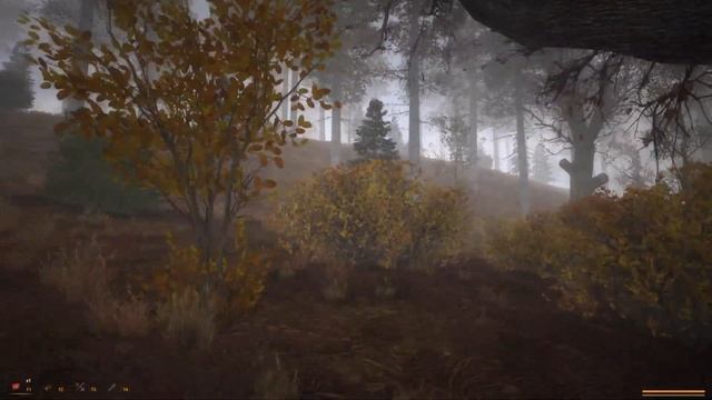 НОВЫЙ МОД ? Тайна Кордона ? STALKER