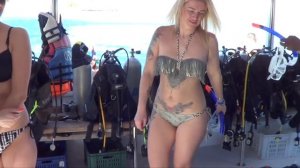 Отдых зимой. Египет, Когда и куда лучше ехать