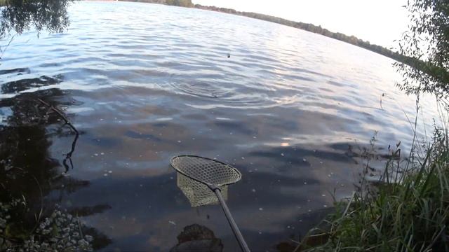 Рыбалка фидером на реке. Прикормка с ПЛАСТИЛИНОМ отличный эффект..Рыбалка на заливе в Августе. смотреть онлайн