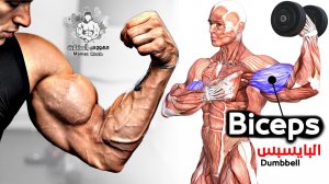 КАК БЫСТРО НАКАЧАТЬ БИЦЕПС ?  (ТОЛЬКО С ГАНТЕЛЯМИ)