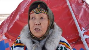 Упряжка в посёлке Нельмин-Нос