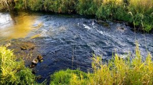 Расслабляющие звуки природы. Пение птиц и шум реки для отдыха и сна. 5 часов релакса