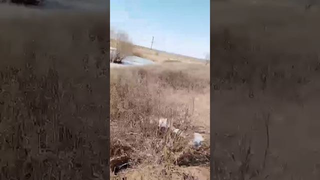 природа смотреть онлайн