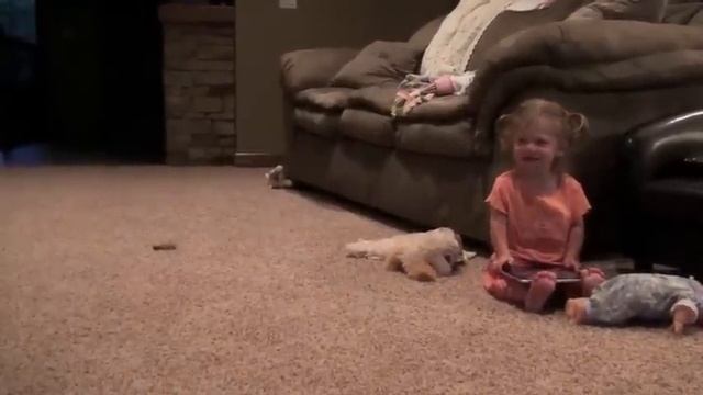 cali cat attack смотреть онлайн