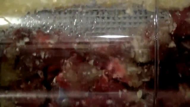 МАРИНУЕМ МЯСО В МАРИНАТОРЕ "9 МИНУТ" | НАТАЛЬЯ НЕВЗОРОВА | ПРОЕКТ "КУХНЯ МОЕЙ МЕЧТЫ"