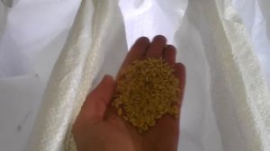 Очистка риса от камней