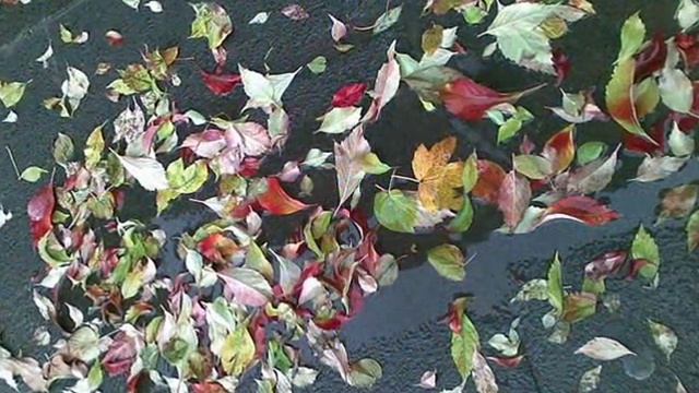 ЛИСТЬЯ ЖЁЛТЫЕ СКАЖИТЕ, ЧТО ВАМ СНИТСЯ? смотреть онлайн