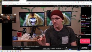 Стинт смотрит: Позорное ПАДЕНИЕ ГЕРОЯ YouTube - iDubbbzTV | ХУДШИЕ СТРИМЕРЫ #11 / deadp47