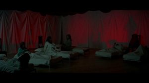 The Beauty Of Suspiria
