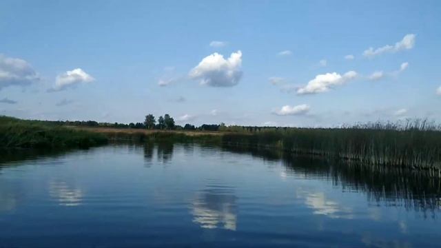 Сплав по р. Солоница. Ярославская/Костромская область. Лучшая река для новичков. Сплав ПВД.