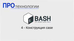 4 Bash - Конструкция case