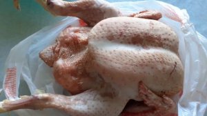 бройлер кобб 500 в два месяца - чистый вес....