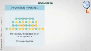 Биология 10 класс (Урок№2 - Неорганические соединения клетки. Углеводы и липиды. Биополимеры.)