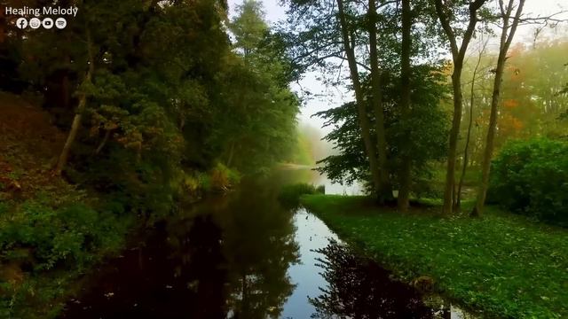 La Música Relaja El Sistema Nervioso, Mejora La Memoria 🍀 La Música Suave Calma El Sistema Nervioso