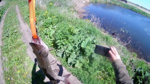 Рыбалка 9.23 "Красный Яр" классика жанра