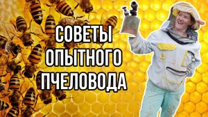 Всë о пчеловодстве
