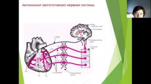 ЕГЭ по биологии 2021. Консультация 8 состоится 15.06.2021 в 6.00 по Московскому времени