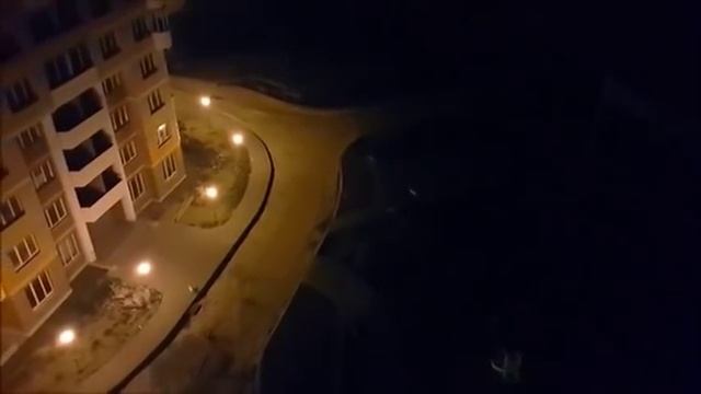 Собаки бегают за лазерной указкой смотреть онлайн