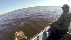 Рыбалка на Сухом море. (утро)