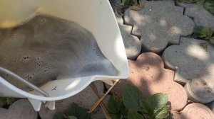 Химчистка автомобиля.