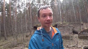 Юго-Западный лесопарк: что посмотреть, как прогуляться и отдохнуть