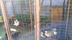 Подстилка АгроСтраж Ферма. Часть 1.