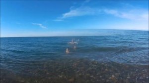 БАТУМИ Море в НОЯБРЕ