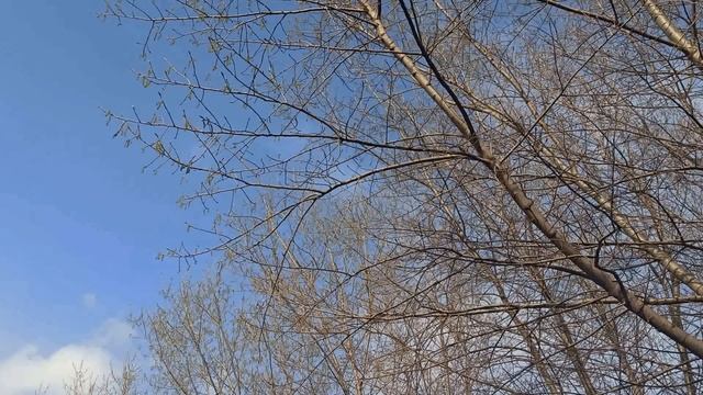 13 мая народный праздник Яков Теплый. Народные приметы и традиции. Что можно и нельзя делать.