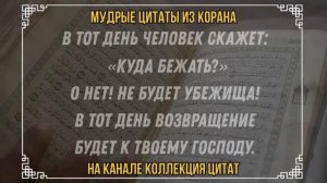Мудрые цитаты из Корана #коран