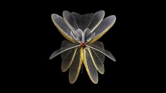 Pianist Vladimir Sofronitski plays 3 Études by Scriabin смотреть онлайн