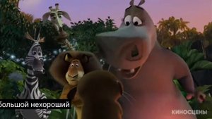 лев алекс напугал морта    мадагаскаскар