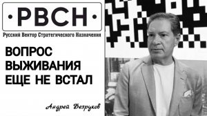 Вопрос выживания еще не встал - Андрей Безруков, 29.06.2024