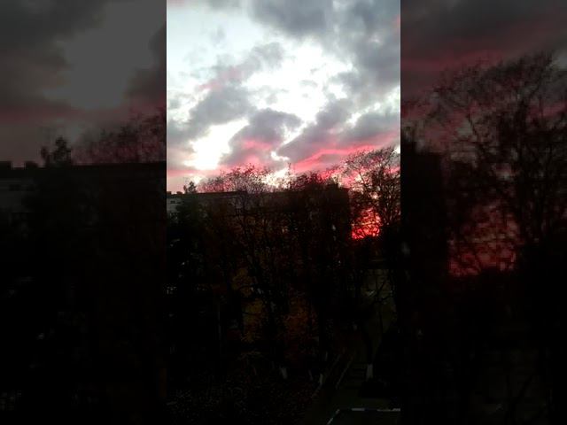 14 октября 2022 г. смотреть онлайн