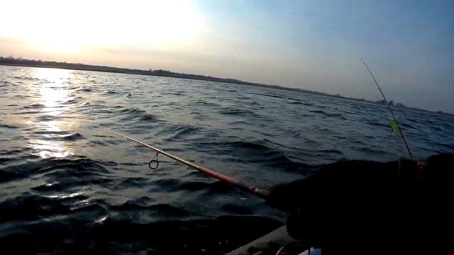 ЩУКА на ВОБЛЕР. ТРОФЕЙНАЯ ЩУКА 2019 г. ! смотреть онлайн