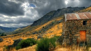 Свами Сатьянанда Сарасвати — Йога Нидра. NikOsho. Вариант 2.