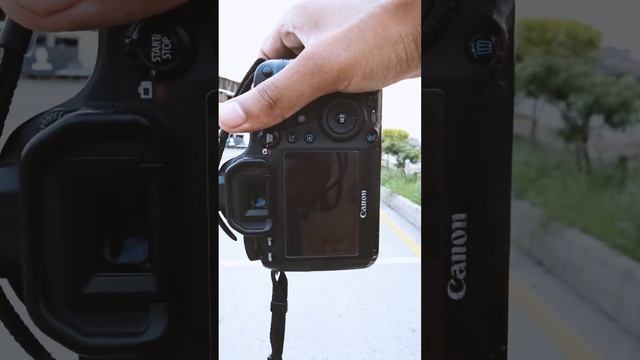 Canon 6d with 50mm f1.8 portrait shoot-photoshoot-dslr смотреть онлайн