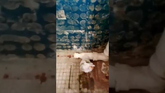 Демонтаж ванной комнаты.
