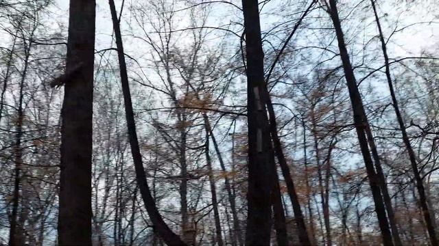 Тайны Харитоновского парка: часть 1#екатеринбург смотреть онлайн