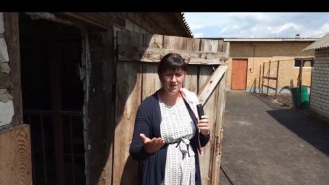 ПОРОДИСТЫЙ ПОРОСЁНОК ЗА 1 ТЫСЯЧУ РУБЛЕЙ??? КОМУ ПОРОСЯТ!!!