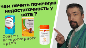 препараты от почечной недостаточности кошек