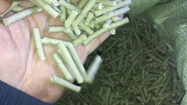 Получить Твёрдую Пеллету Из Сырых Сосновых Опилок Возможно! Get Hard Pellet From Raw Pine Sawdust P смотреть онлайн