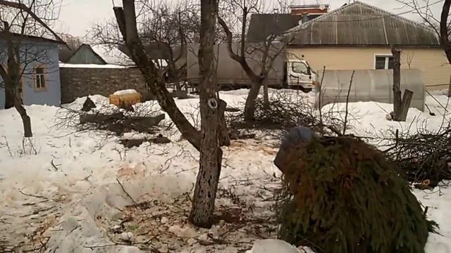 Обрезка старой запущеной яблони