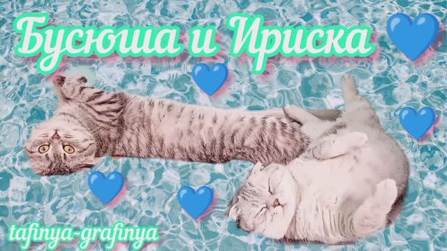 Видео 42. Бусюшу избили 😱😥😡 Ириска не в  ресурсе 🤦