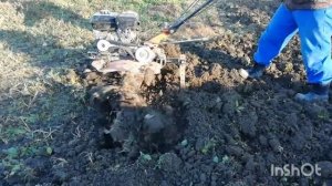 фреза целина вместо плуга, и не говорите какая у вас тяжёлая земля