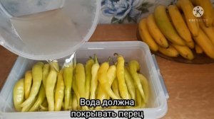ЦИЦАК - ОСТРЫЙ ПЕРЕЦ НА ЗИМУ. How to pickle pepper #ծիծակ #цицак #острыйперецназиму