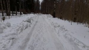 Нижние Осельки. Заброшка (22.03.2023).