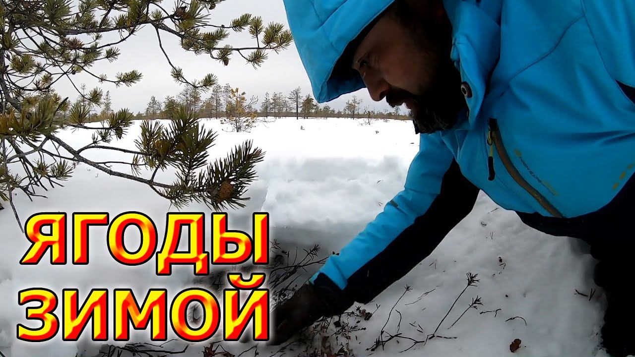 Как не умереть от голода ЗИМОЙ в ЛЕСУ смотреть онлайн