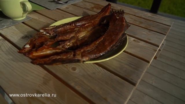 Отдых и аренда гостевого домика на берегу Ладожского озера смотреть онлайн