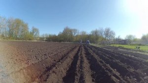 Лошадью хожу